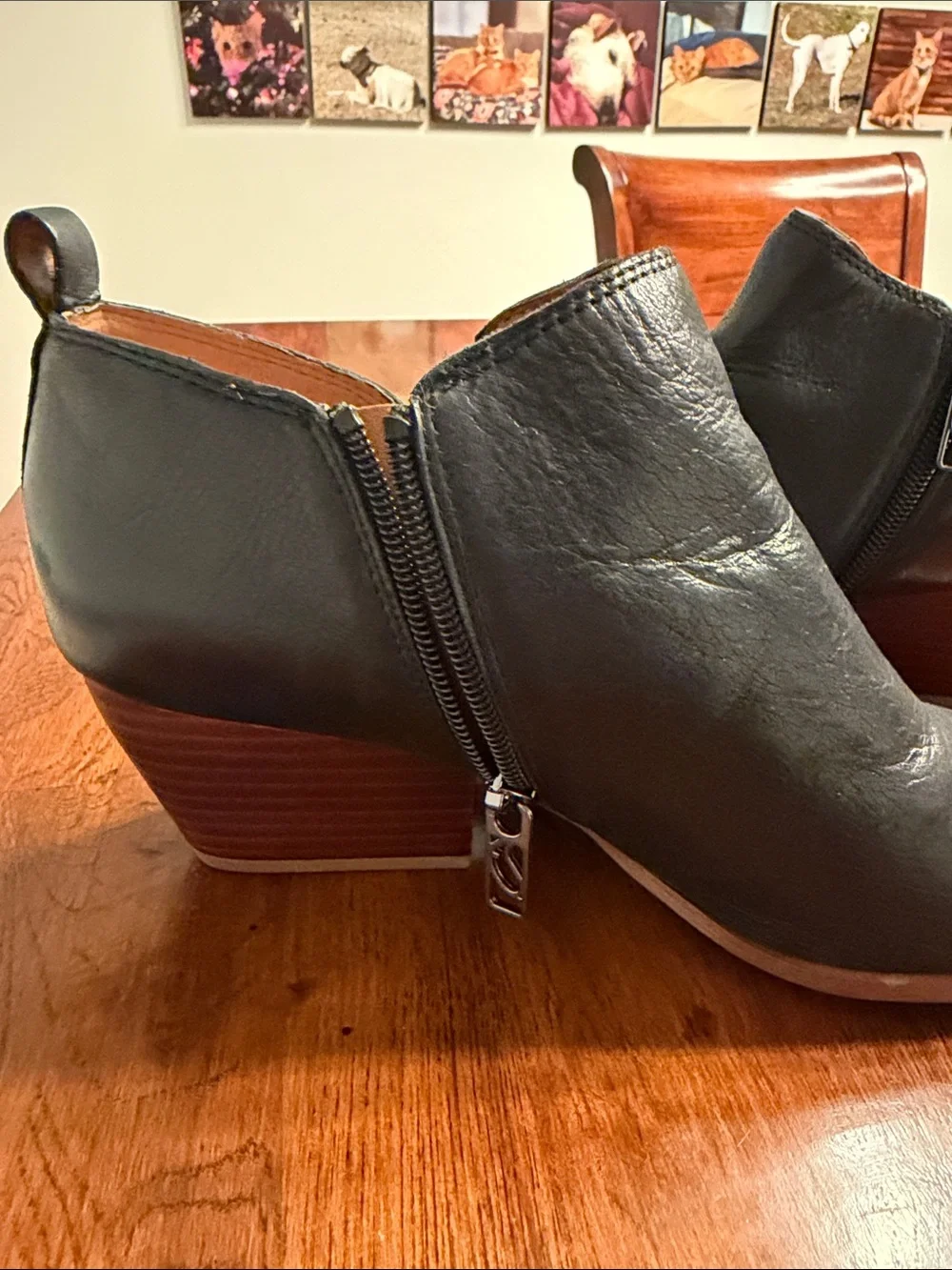 Franco Sarto Ankle Booties size 10
